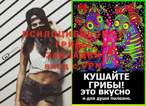 марки lsd Бородино