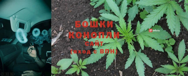 марки lsd Бородино