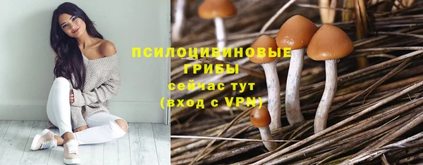 винт Верхний Тагил