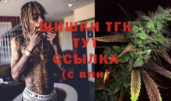 spice Бугульма