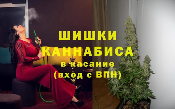 spice Бугульма